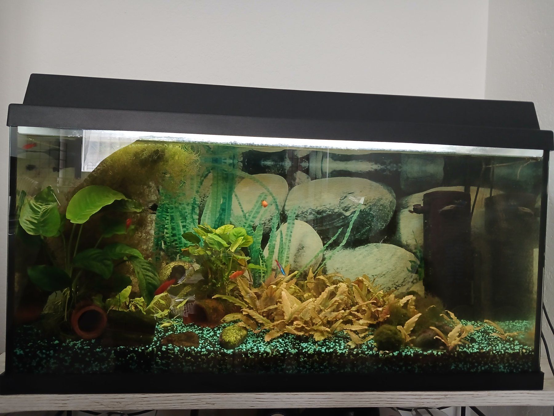 Juwel Aquarium: Aquarium 110l – Gebraucht aus Sarmenstorf von Sir_Lyncoln
