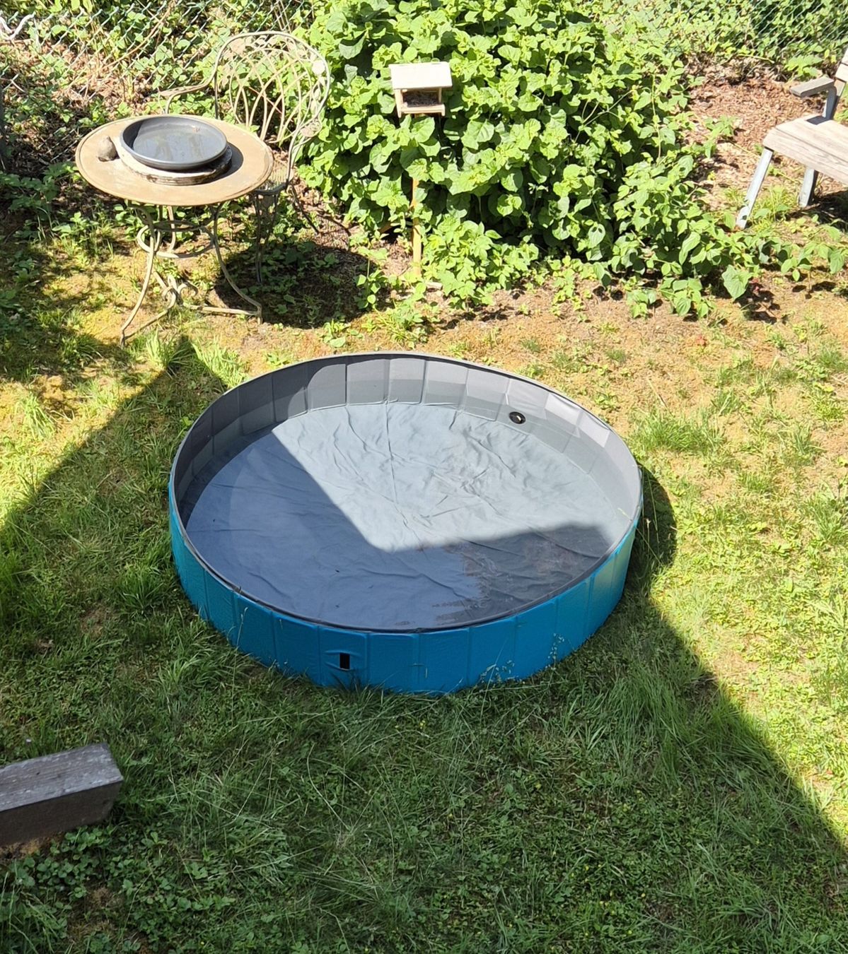 Piscine: Hundepool ø160cm – Nuovo (secondo la descrizione) da Brunnadern venduto da ginalaura92 2