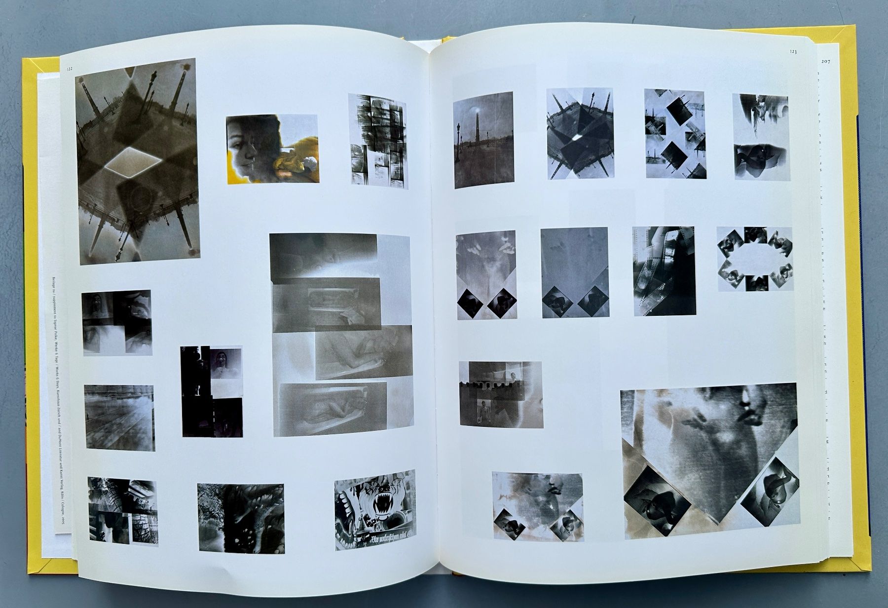 Libri: Bice Curiger: Sigmar Polke. Werke & Tage. – Usato da Zürich venduto da allp 7