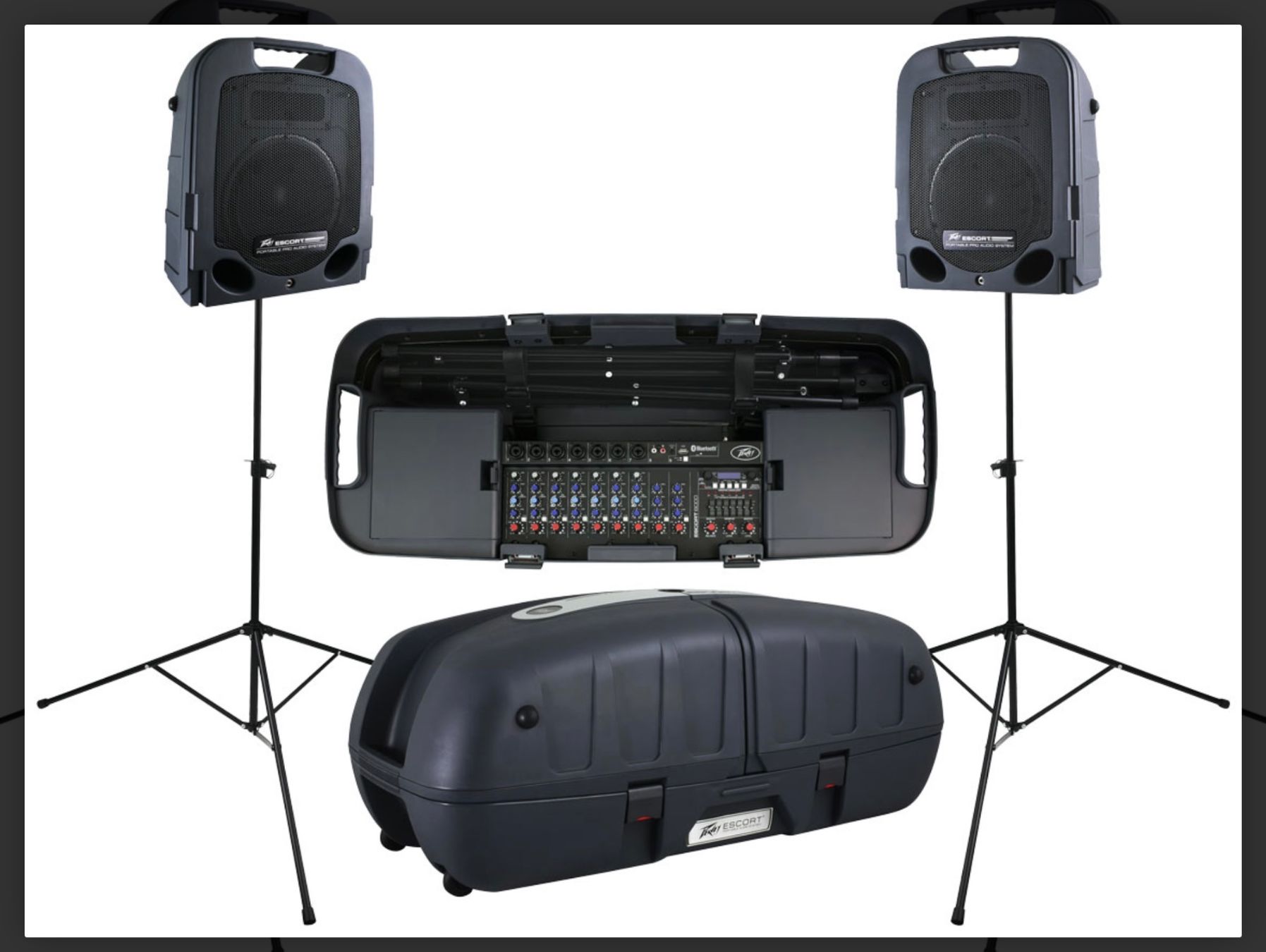 Peavey Console di mixaggio: Musik- und Gesangsanlage – Nuovo (secondo la descrizione) da Nesslau venduto da Giga257