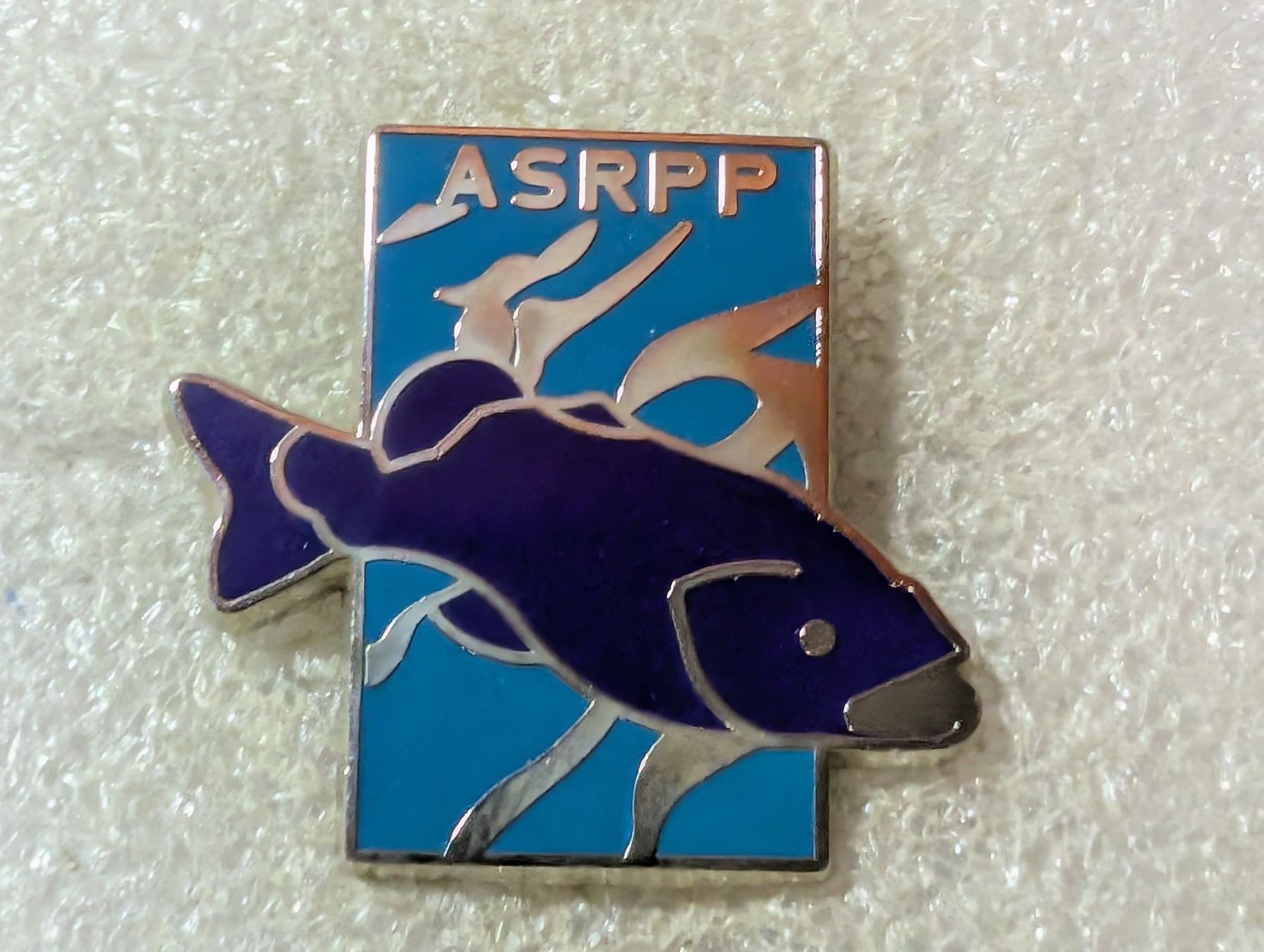 Placchette & Badge: Ansteckpin 132: ASRPP – Usato da Oppligen venduto da Pin-Fall-Shop