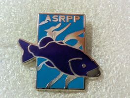 Ansteckpin 132: ASRPP