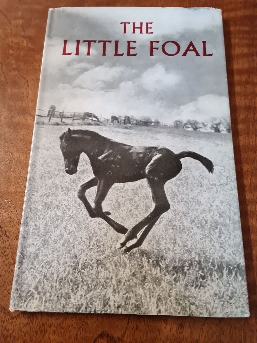 Bücher: THE LITTLE FOAL – Gebraucht aus Erstfeld von Uhu1980