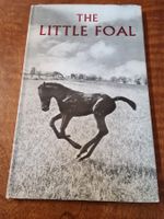 THE LITTLE FOAL