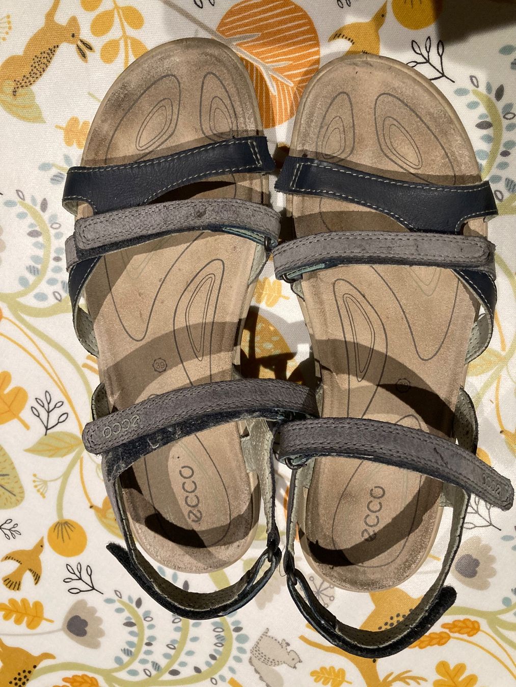 Ecco Damenschuhe: Ecco Sandalen – Gebraucht aus Bülach von Stellina72