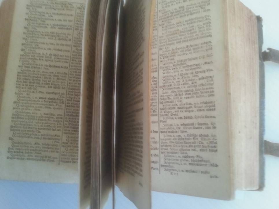 Libri: Dictionarium bilingue 1776 – Usato da St-Barthélemy VD venduto da meal83 1