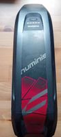 Centurion Numinis E trail F2500 29 battery 