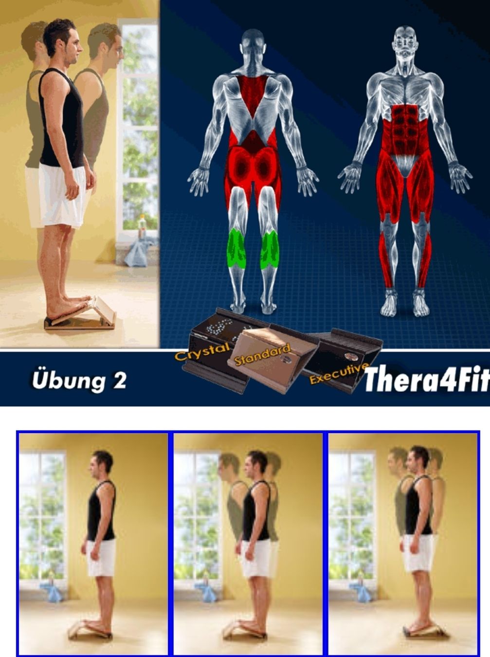 Hometrainer: Thera4fit Gesundheitsbrett – Nuovo e nell'imballaggio originale da Wünnewil venduto da jael13 2