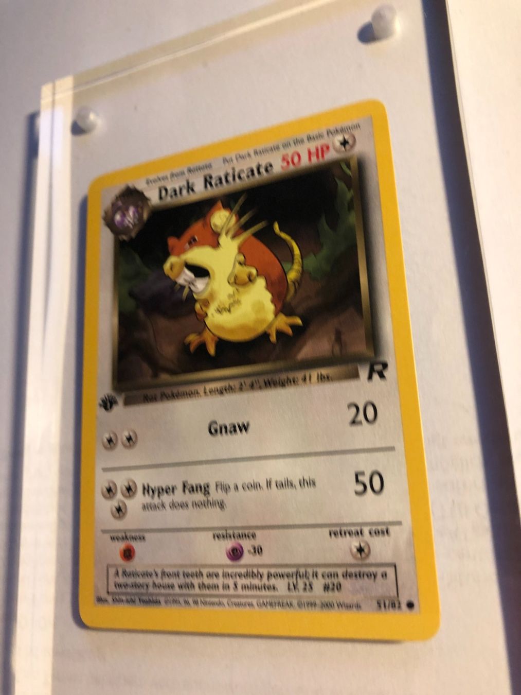 Sammelbilder & Trading cards: Dark Raticate 1st Team Rocket - MINT - ab 1.- – Gebraucht aus Giubiasco von dan_pr8b 2