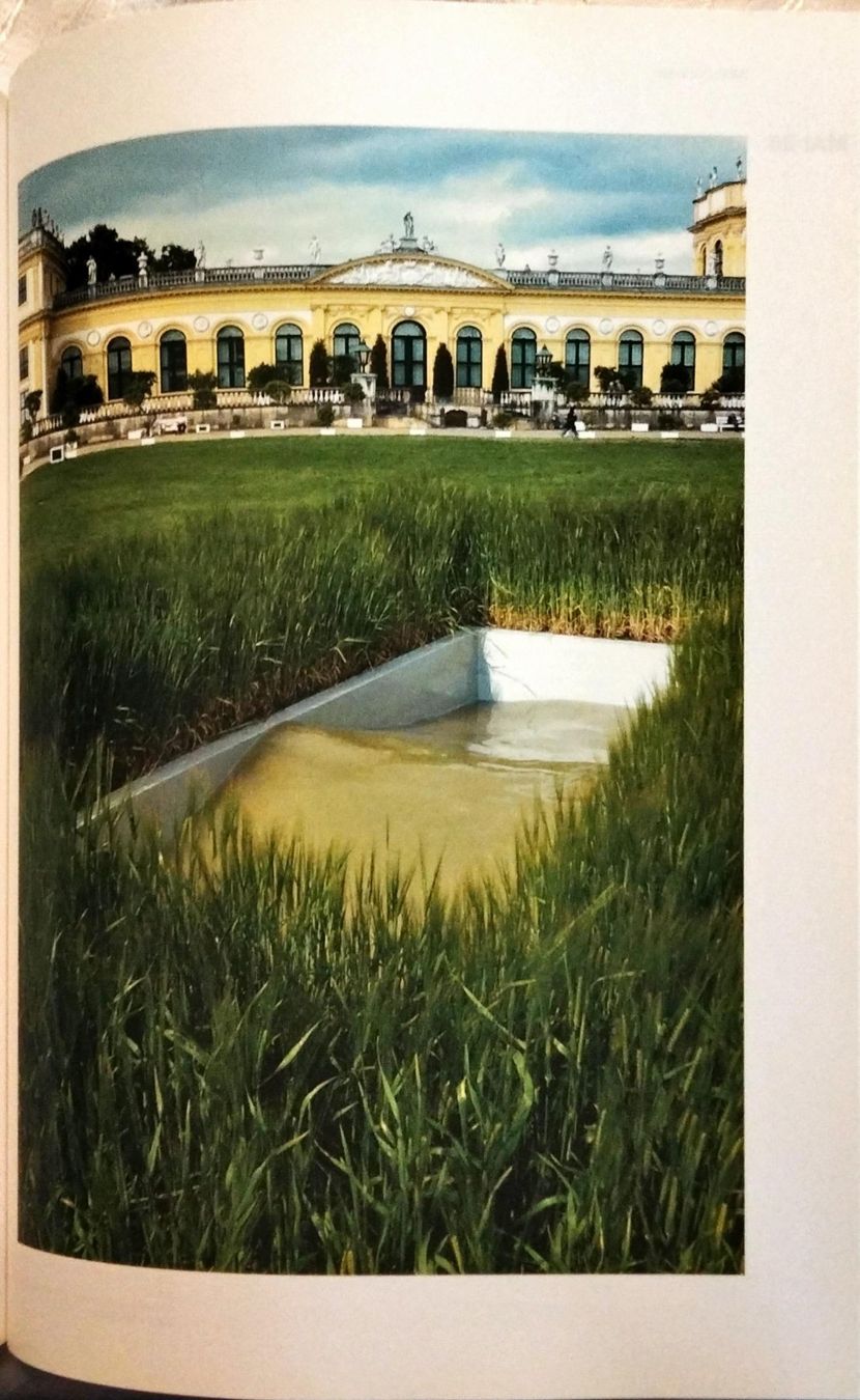 Bücher: Art Basel Katalog 2013 Kunstmesse Schweiz Juni UBS – Gebraucht aus Niederglatt ZH von Siegfried67 5