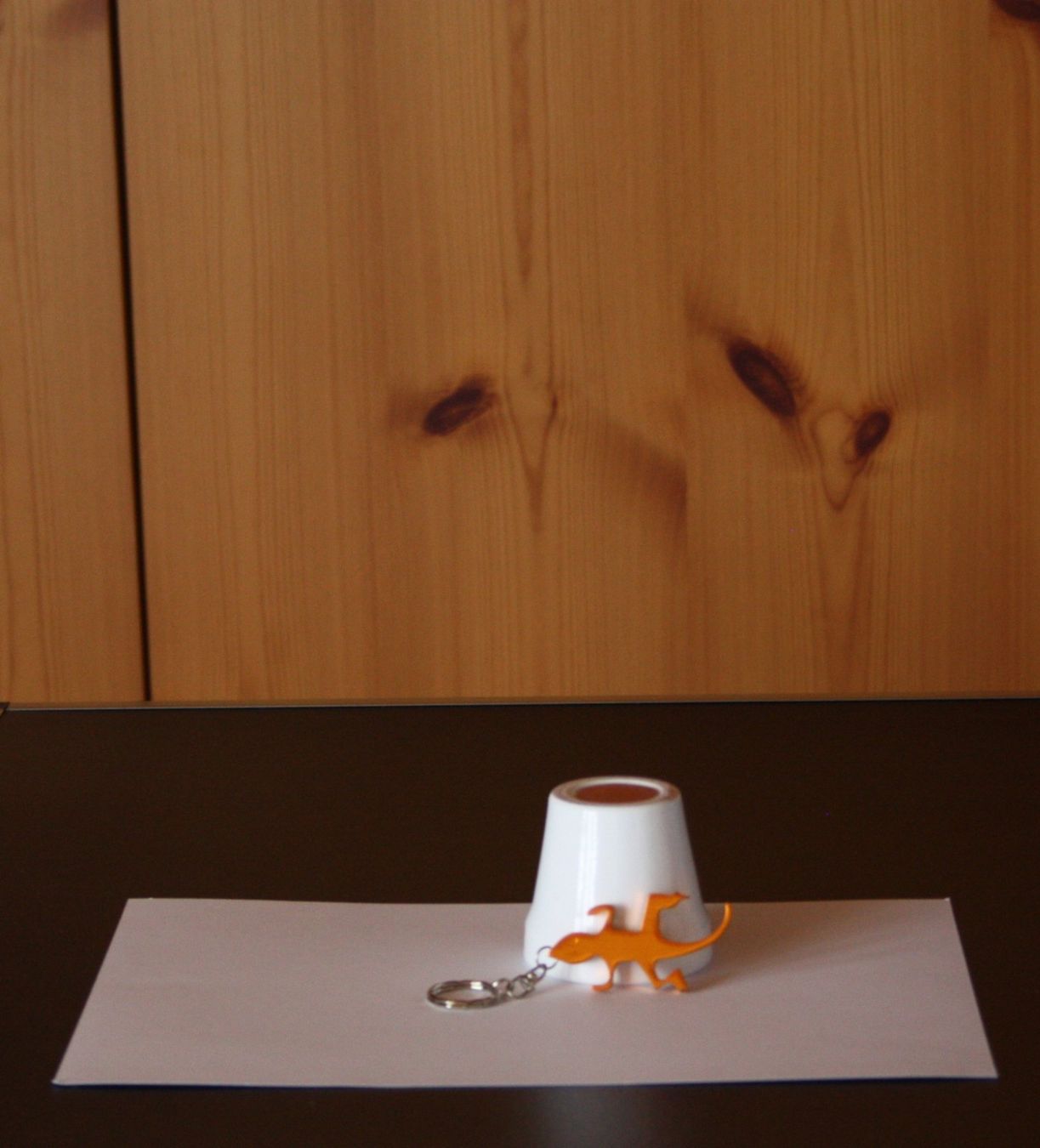 Portachiavi: Schlüsselanhänger Echse orange – Usato da Flüelen venduto da Diversicum-Shop 3