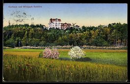AK Burgdorf, Kurhaus und Wildpark Rothöhe