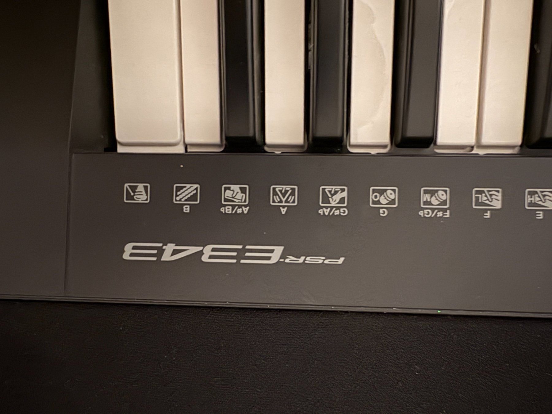 Yamaha Strumenti musicali: Keyboard Yamaha PSR-E343 mit Netzteil – Usato da Elgg venduto da Jo_Naj 1