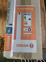 Osram 8 Lumilux Leuchtröhren 35W/840 Cool White
