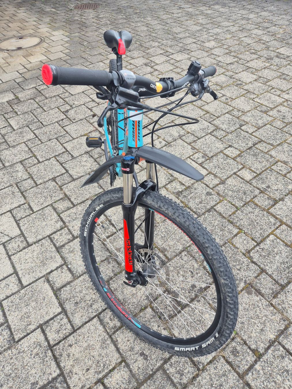 Stevens Biciclette: Stevens Taniwha 29", Rahmen 20" - Top Zustand – Usato da Eschenbach SG venduto da Kascha69 3