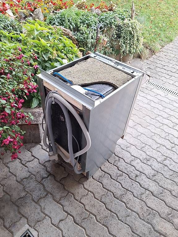Lavastoviglie: Geschirspüler Electrolux – Usato da Uetendorf venduto da Albi125 1