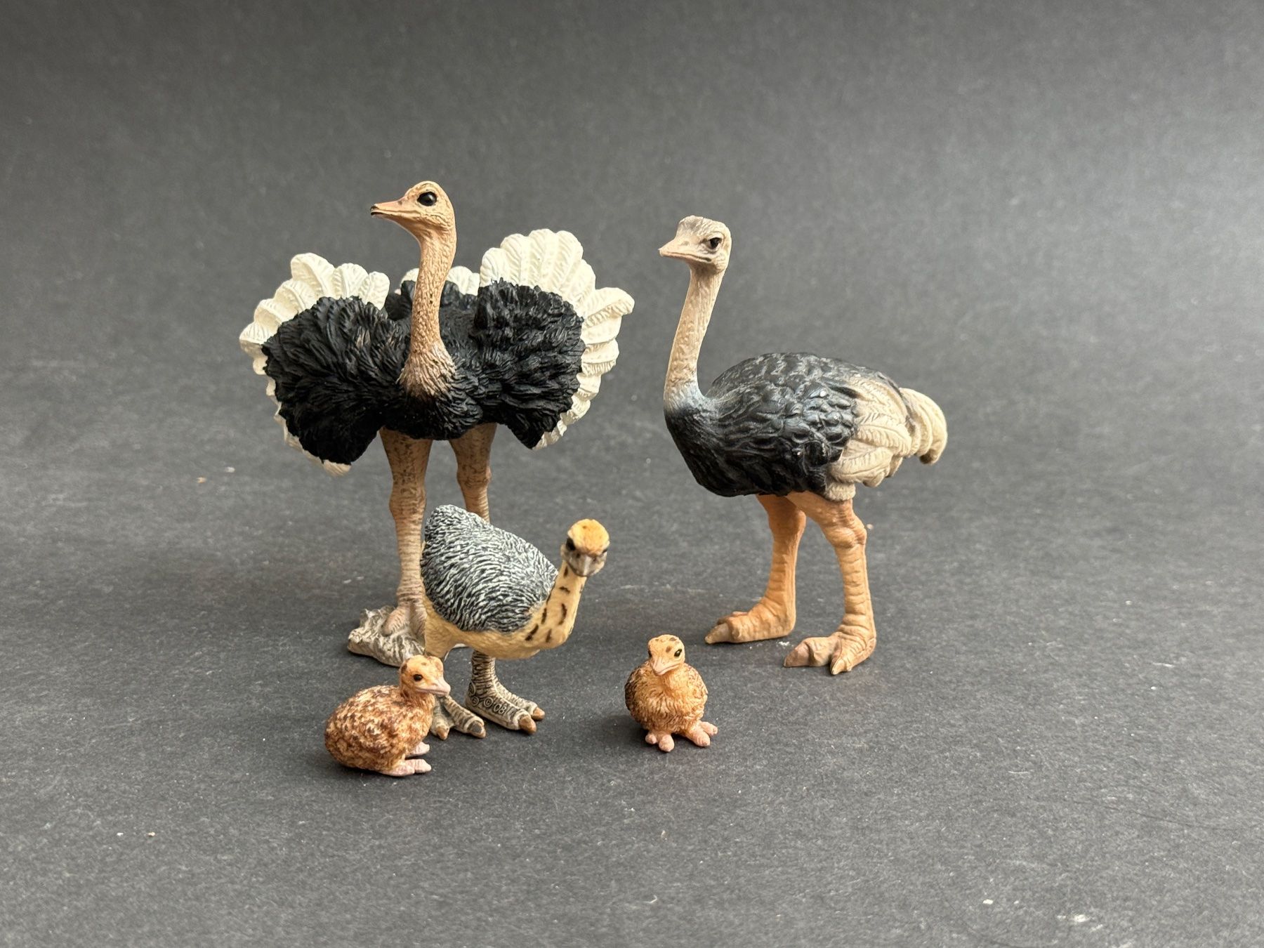 Schleich Statuette: Schleich Strauss Familie – Usato da Ennetbaden venduto da mapa05