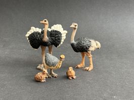 Schleich Strauss Familie