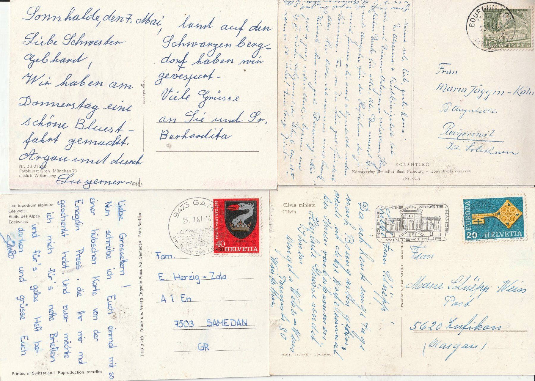 Cartes postales: 20  Blumenkarten – D'occasion à Lumbrein par made02 3