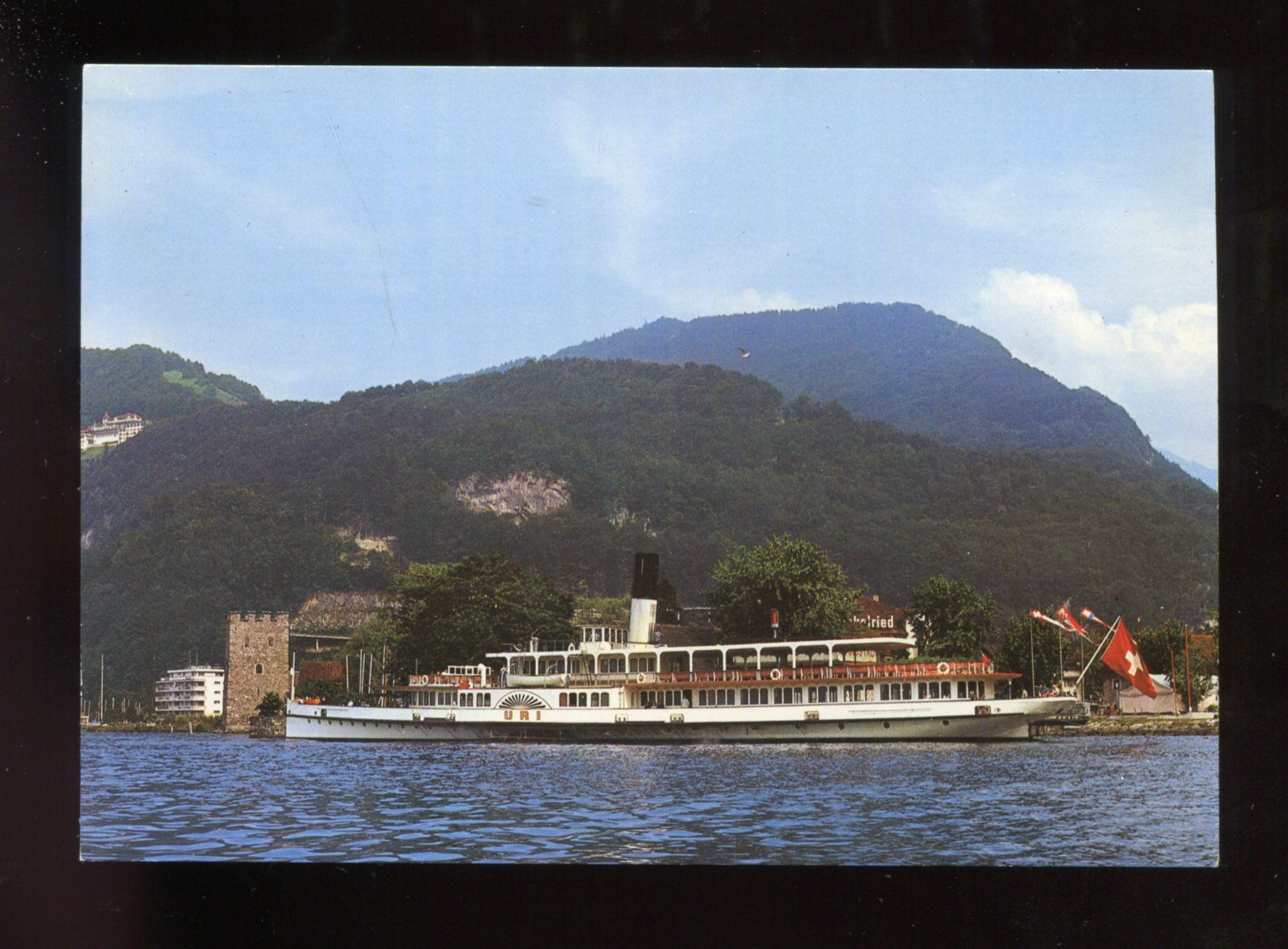 Cartoline postali: Vierwaldstättersee, DS Uri – Usato da Aarau venduto da Elmaar41