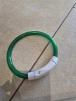 Hundehalsband / Leuchthalsband