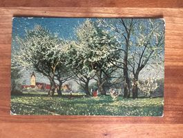 Ansichtskarte Künstler Baumblüte super 1922  (G37)