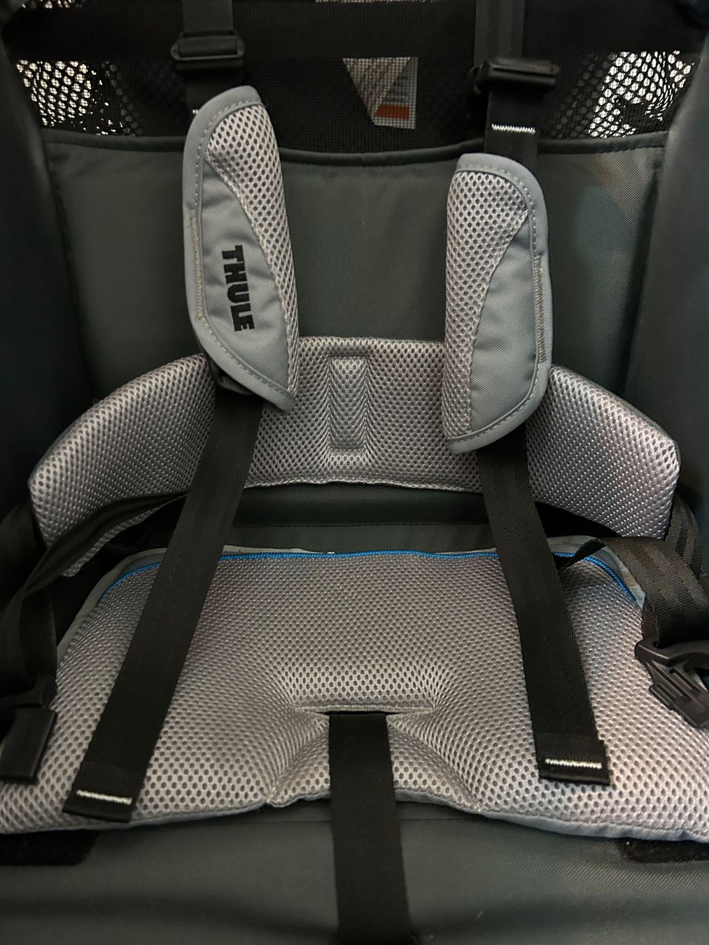 Thule Rimorchi: Thule Chariot Cougar 1 – Usato da illnau venduto da sweet83 5