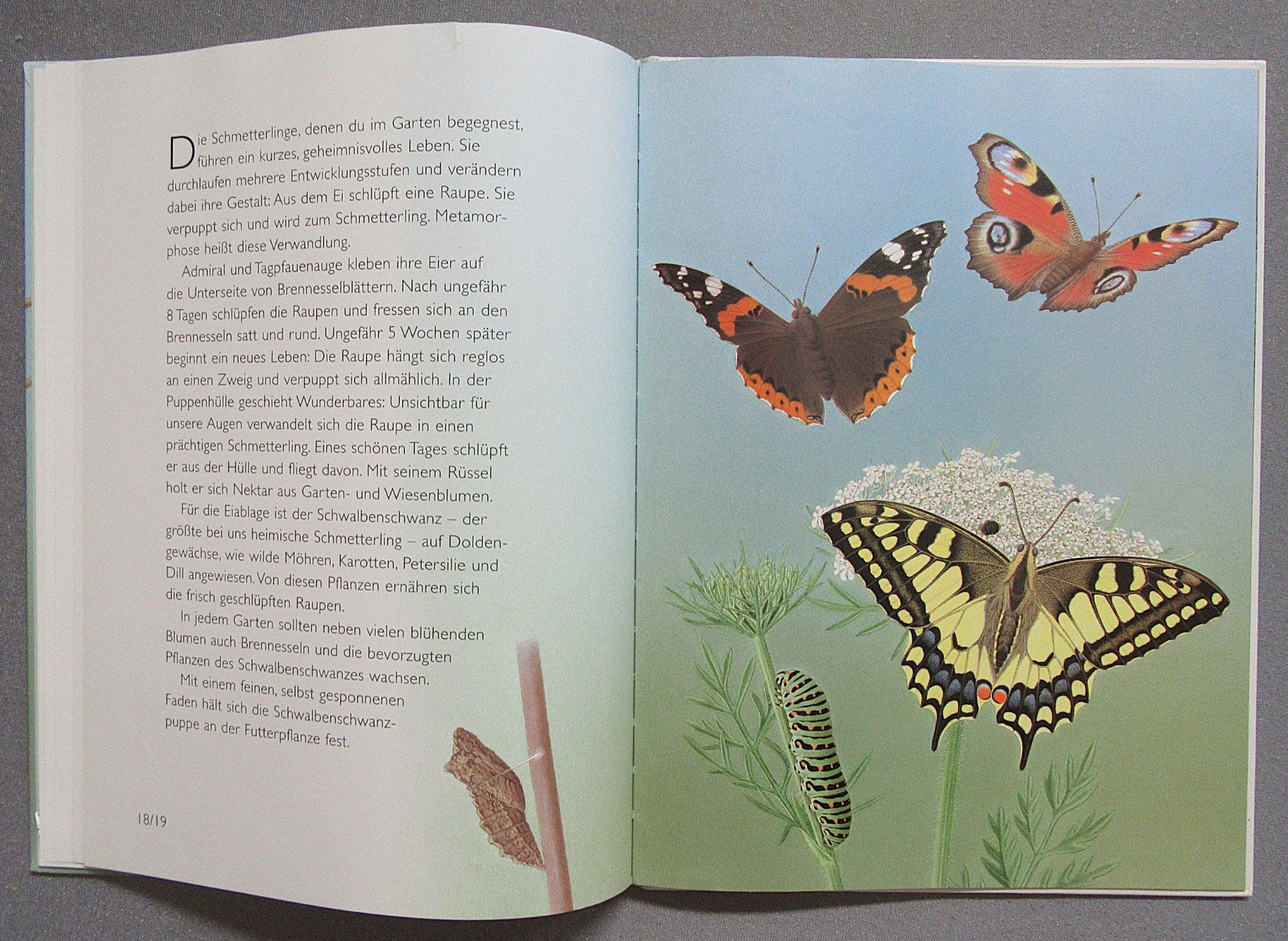 Livres: Tiere im Garten - ein Atlantis Kinderbuch – D'occasion à Auenstein par Padabimbim 5