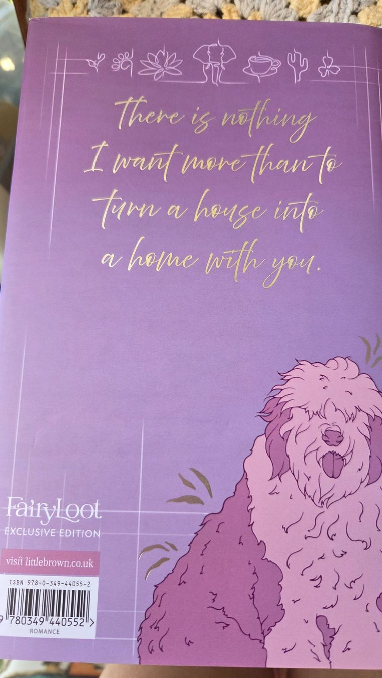 Libri: Lauren Asher Terms and Conditions Fairyloot Edition – Nuovo (secondo la descrizione) da Weggis venduto da Leeclipse 1