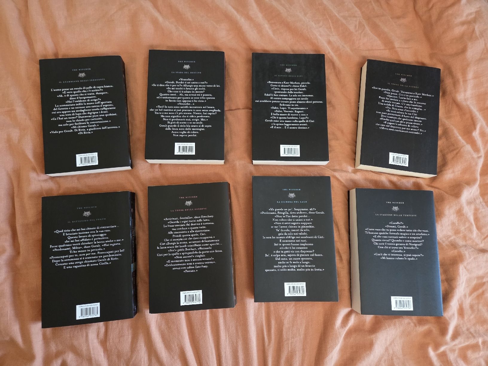Bücher: The Witcher Andrzej Sapkowski saga completa – Gebraucht aus Nyon von direwolf97 1