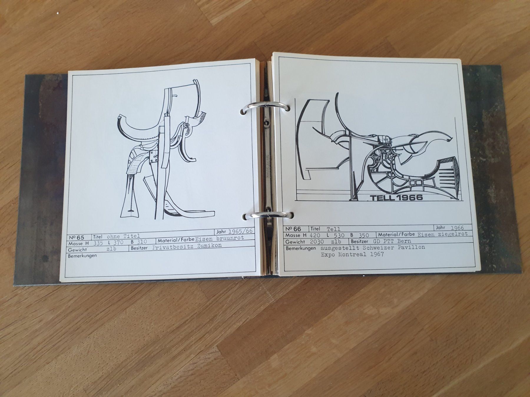 Libri: BERNHARD LUGINBÜHL RINGORDNER EISENDECKEL – Usato da Locarno venduto da ICARO8 5