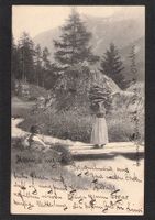 AK,OW  Stans , Landwirtschaft,1903