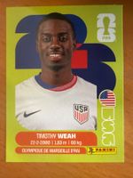 Panini USA12