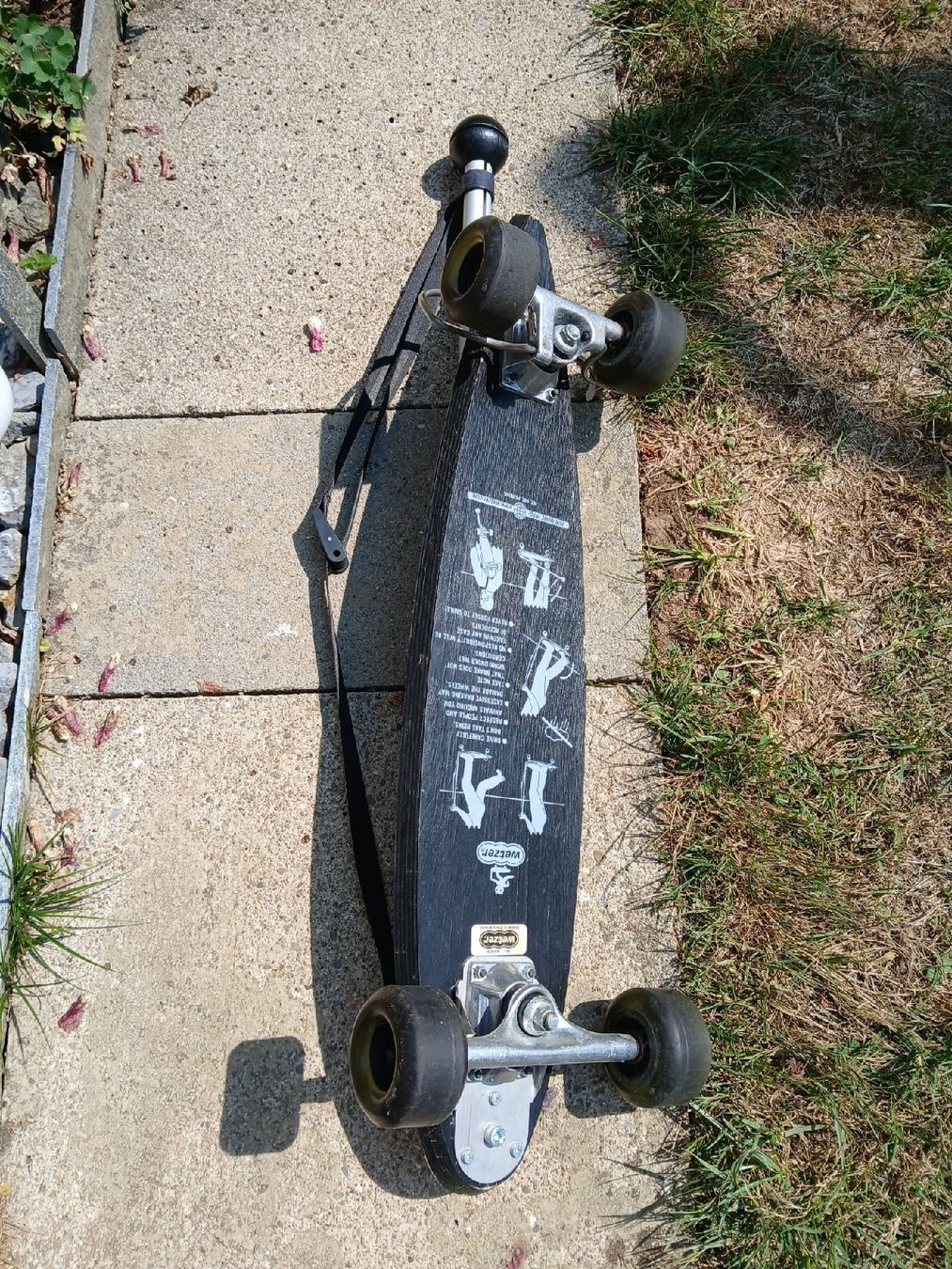 Skateboards: Wetzer Skateboard Rollbrett  – D'occasion à Obfelden par Alf2005 2