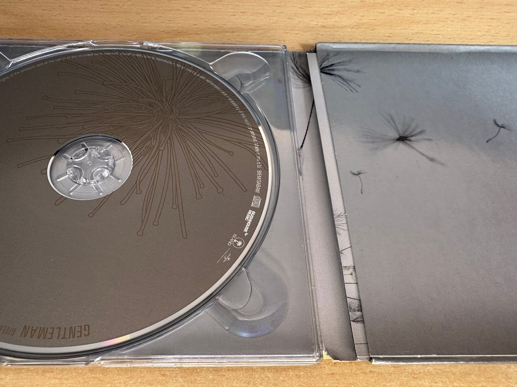 CDs: Gentleman – Diversity – Gebraucht aus Rikon im Tösstal von Alpenmutz 2