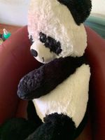 Migros Pluesch Panda gross, guter Zustand