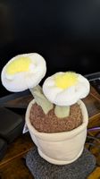 Die Pflanzen ohne grünen Daumen!  Plüsch Pflanzen 2x