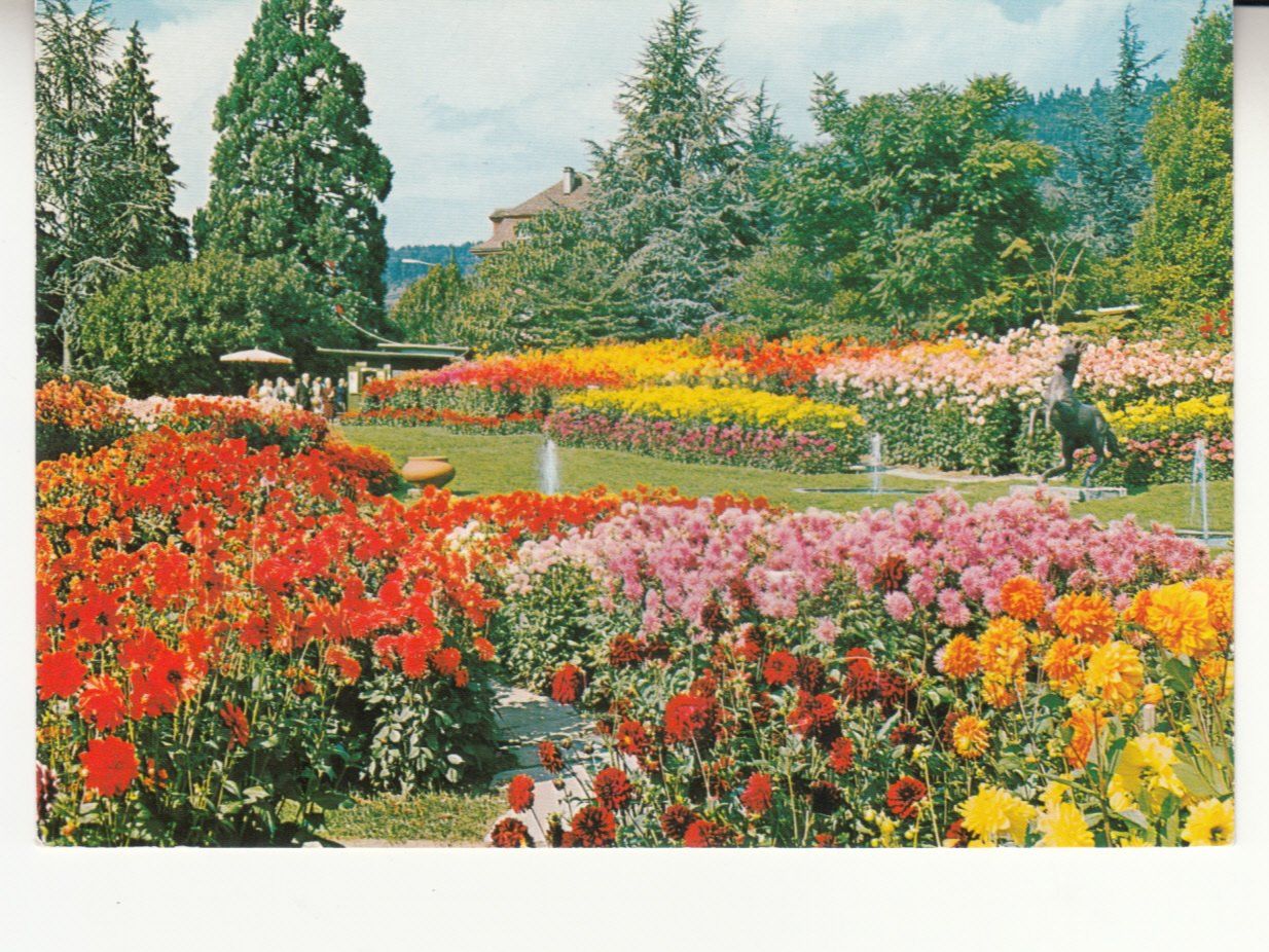 Cartes postales: Unterengstringen ca. 1970 – D'occasion à Bürglen TG par StampGraf