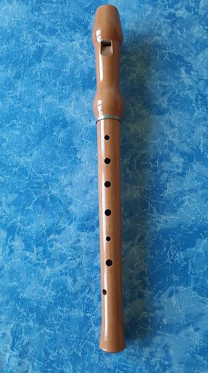 Strumenti musicali: Blockflöte – Usato da Schwerzenbach venduto da Baden03