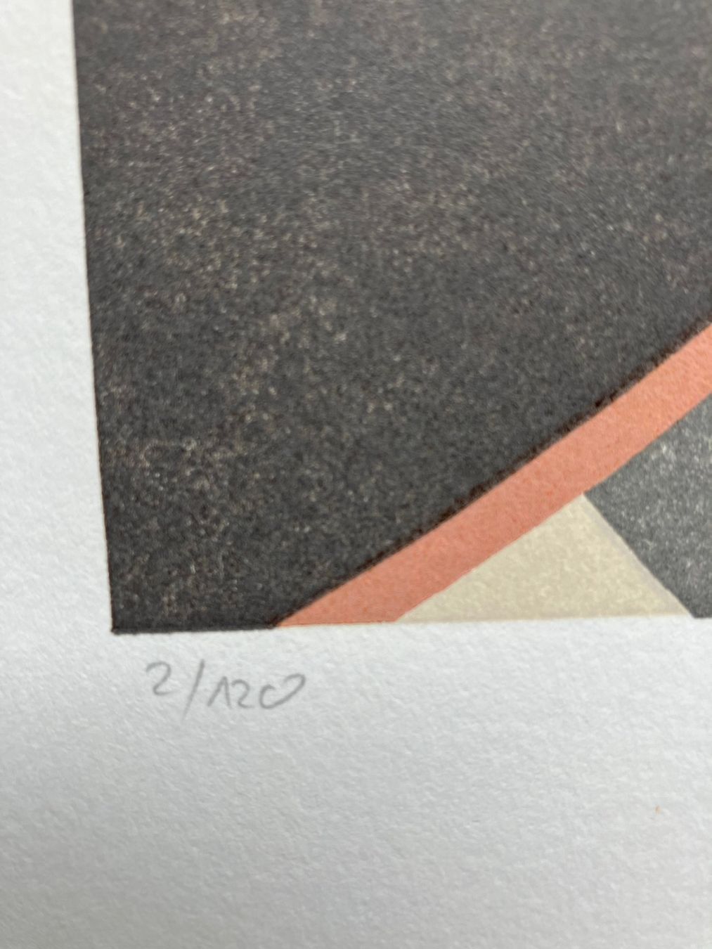 Xilografie: Holzschnitt von René Fehr-Biscioni – Usato da Winterthur venduto da Barunggeli 3