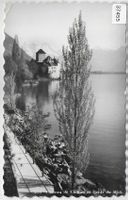 Chateau de Chillon et Dent du Midi