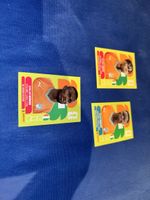 Elfenbeinküste 3x panini