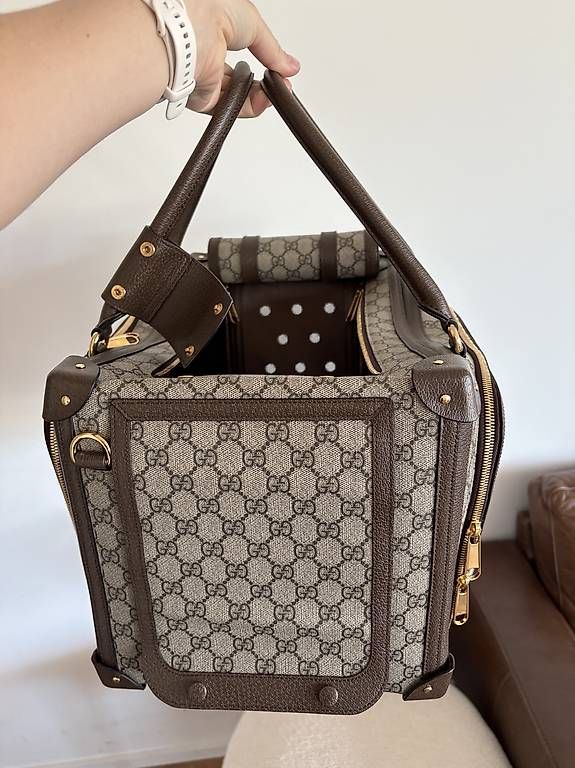 Borse: Gucci Hunde-Katzentasche neuwertig – Usato da Unterägeri venduto da mar_96hk 1