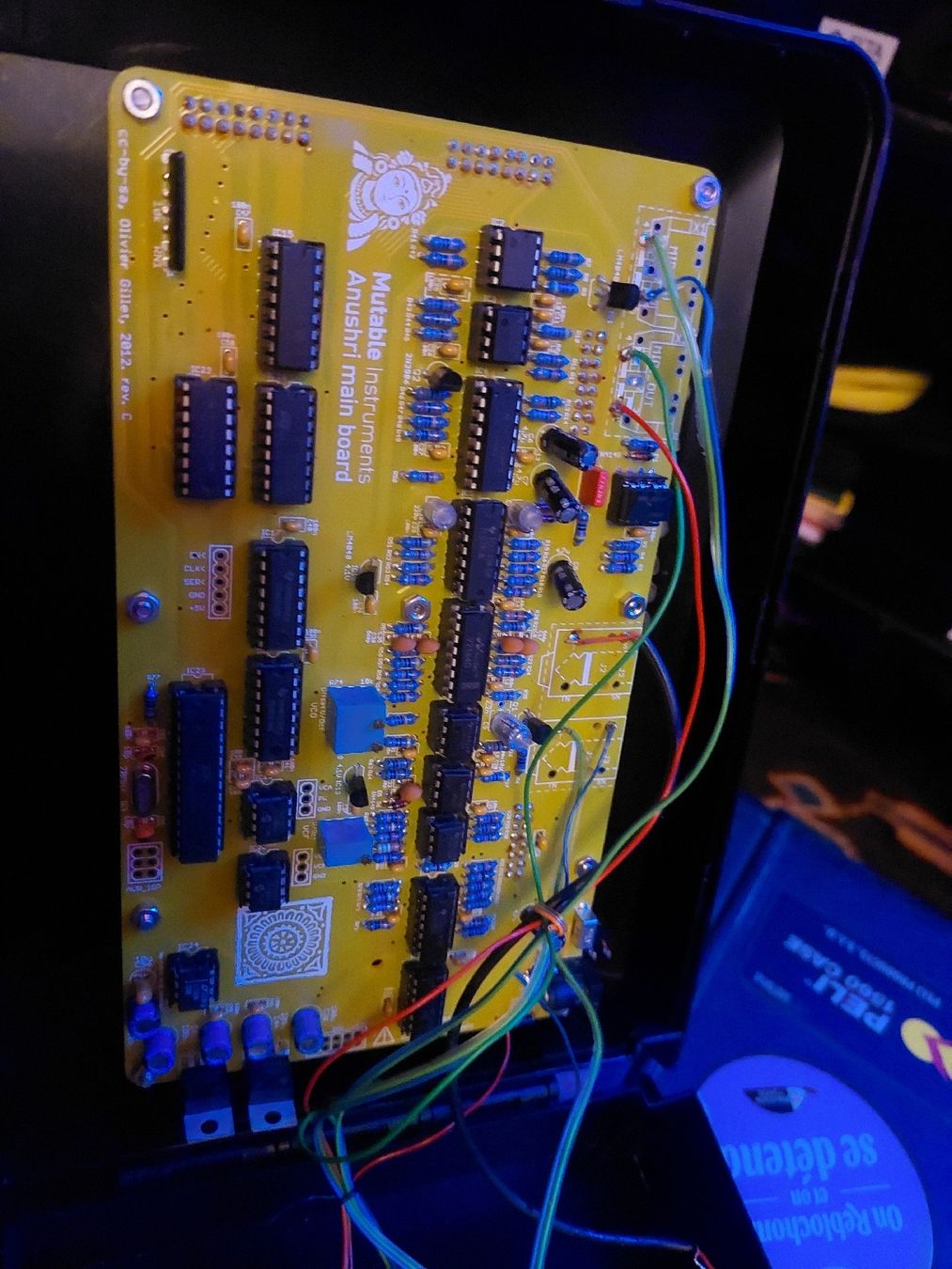 Strumenti musicali: Mutable Instrument Anushri with DIY box – Usato da Courtepin venduto da Organikal 5