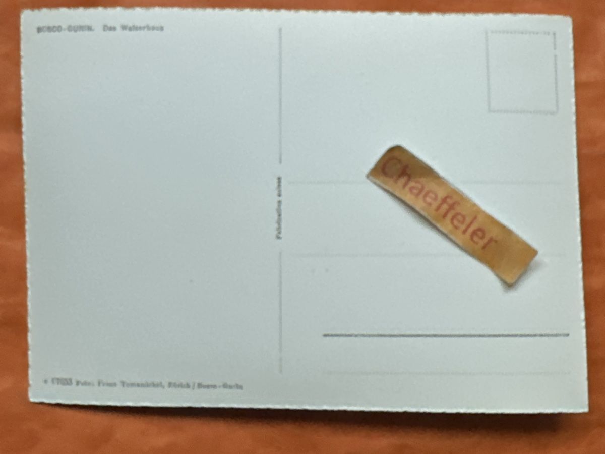 Cartoline postali: Bosco-Curin. Das Walserhaus – Usato da Zürich venduto da Chaeffeler 1