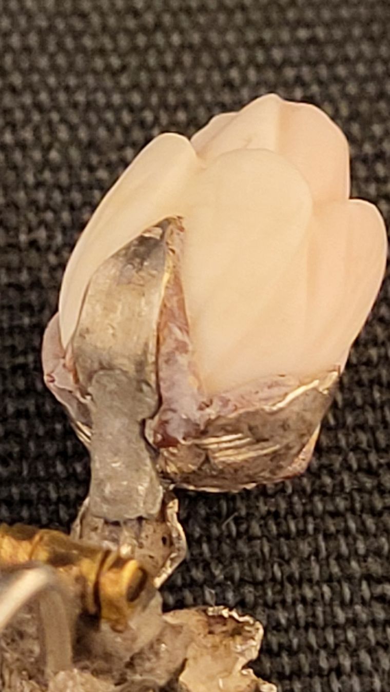 Broches & Aiguilles: Antike Brosche ROSE mit Engelshaut-Koralle – D'occasion à Basel par spinne02 3