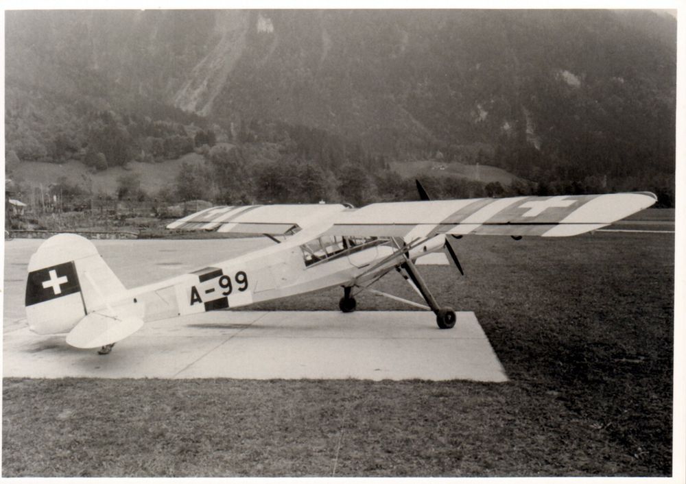 Fiesler Fi-156 Storch A-99 Swiss Air Force (Neu (gemäss Beschreibung ...