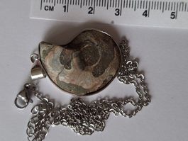 Fossil Anhänger Ammonit Halskette (3)