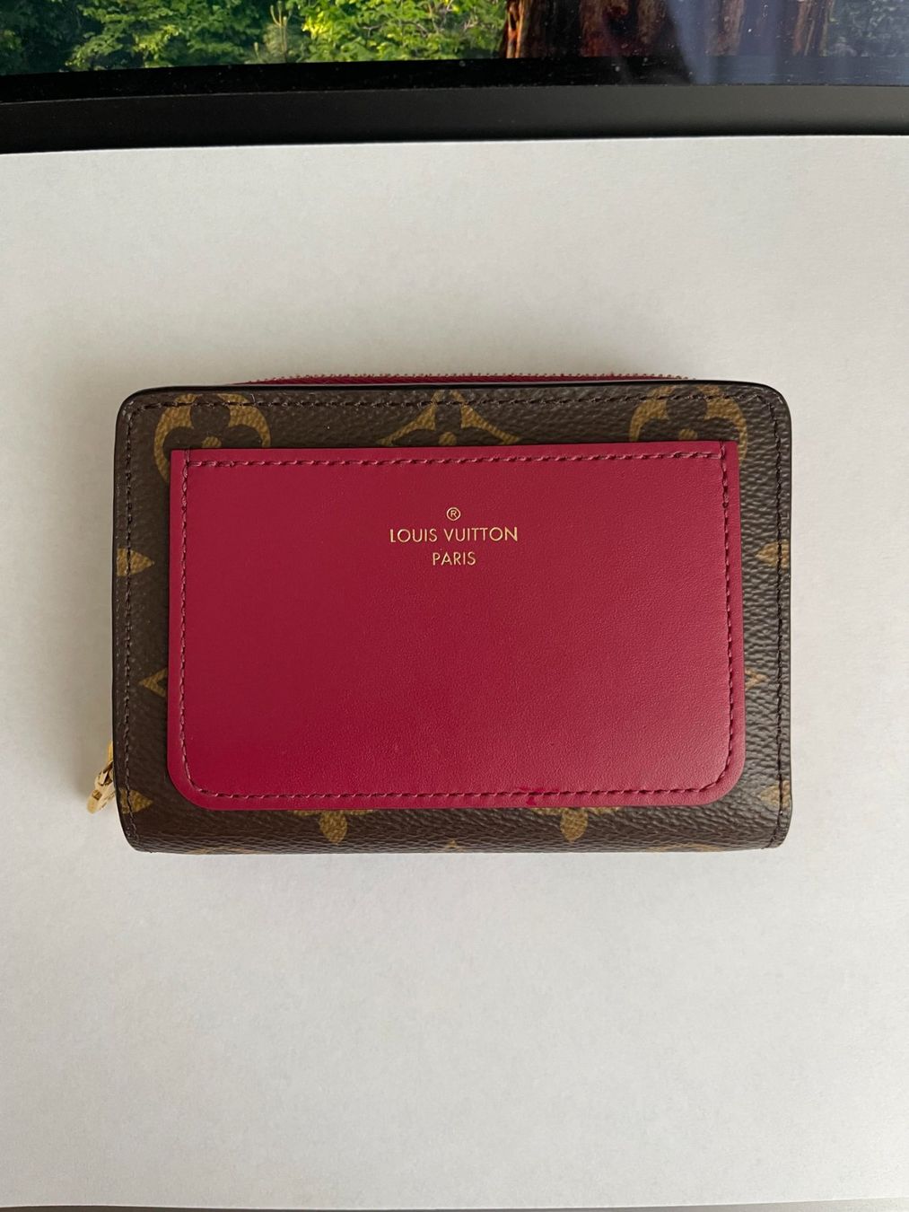 Louis Vuitton Portamonete: Louis Vuitton Lou Geldbörse – Nuovo (secondo la descrizione) da Kreuzlingen venduto da fra_95nj 3