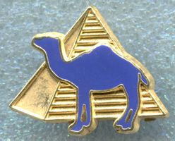 CAMEL  
